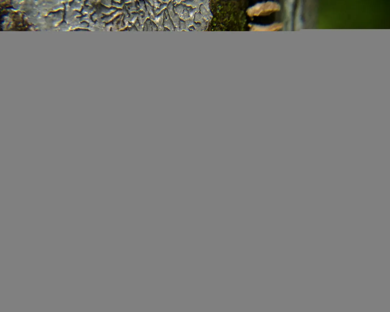 IMG20210816140813-01.jpeg