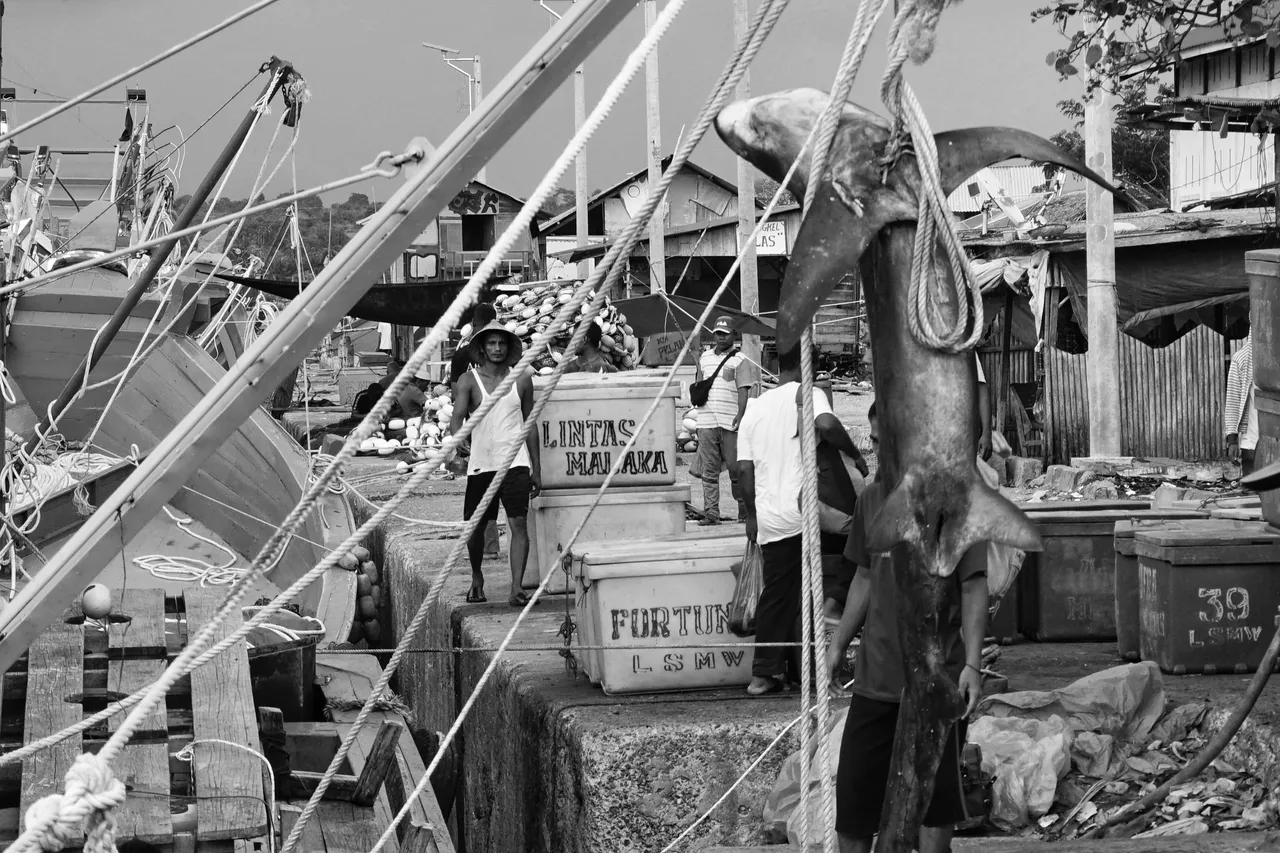 DSC00920_1-01-01-min.jpeg