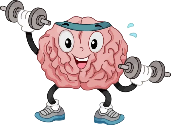 brain-g7f78e28f1_1280.png