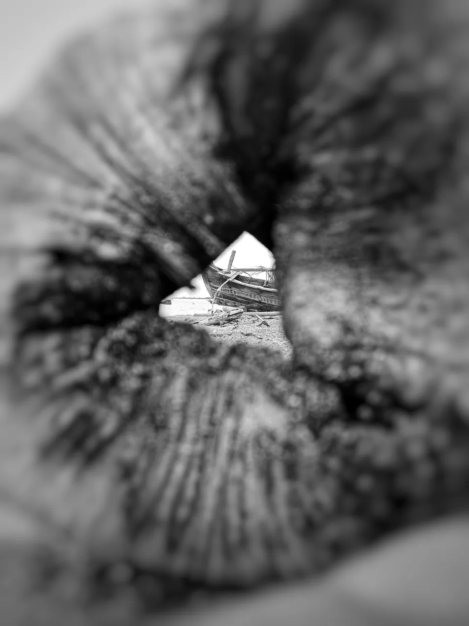 IMG20210913133710-01.jpeg