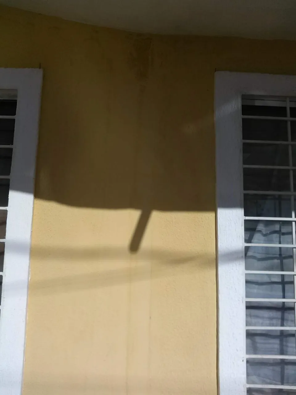 IMG_20201026_081746_1.jpg