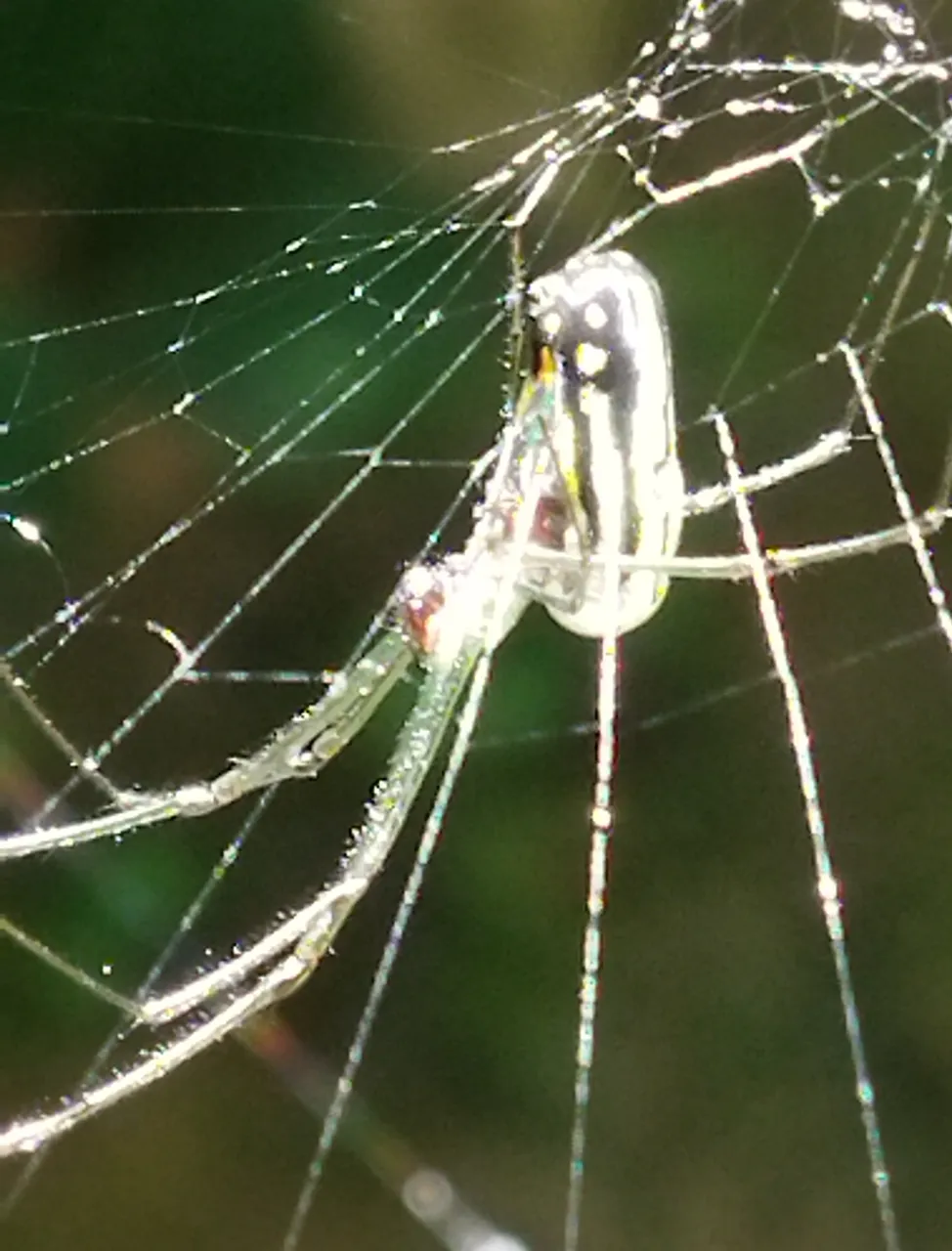 IMG_20210918_115533~2.jpg