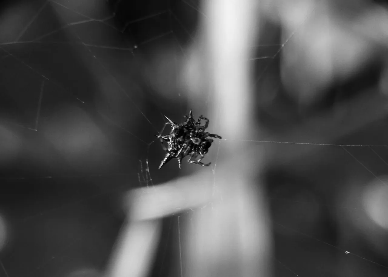IMG20210205173310-01.jpeg