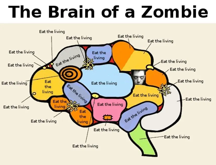 zombie_brain-47300600.jpg