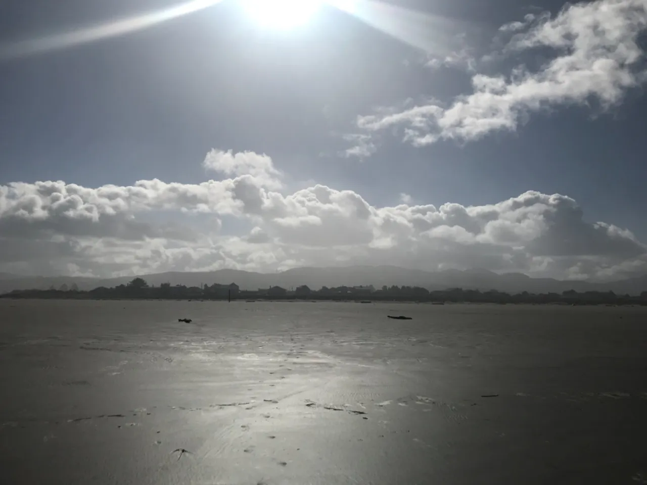 Looking back from the shoreline towards the town of Seaside.