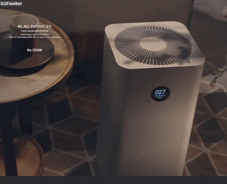 gf.mp4