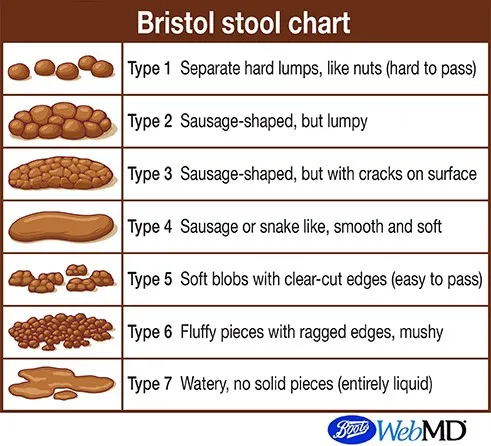 poo-chart-bootswebmd.jpg