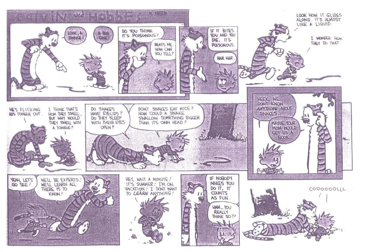 Calvin and Hobbs.jpg