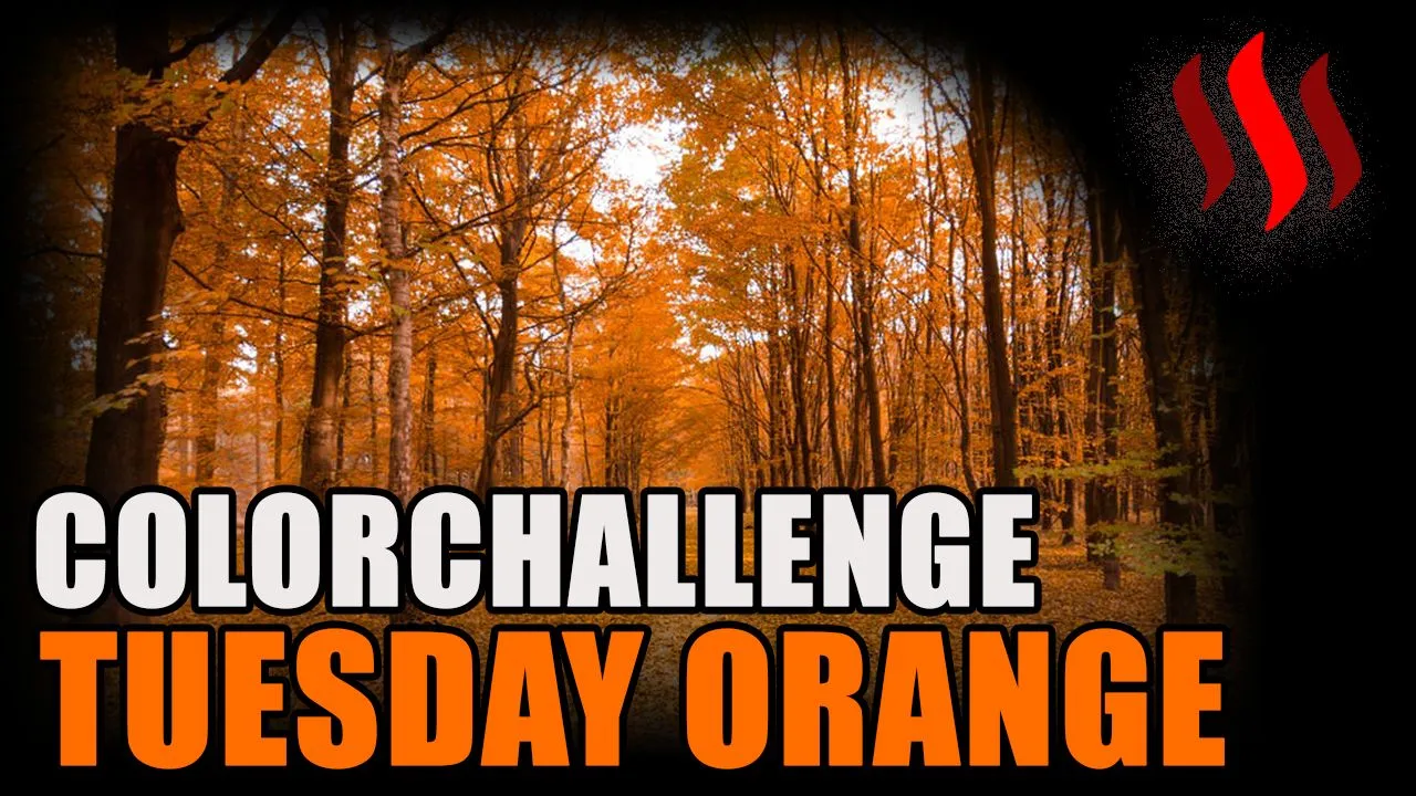 Tuesday Orange Cover.jpg