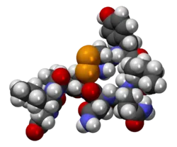 250px-OxitocinaCPK3D.png