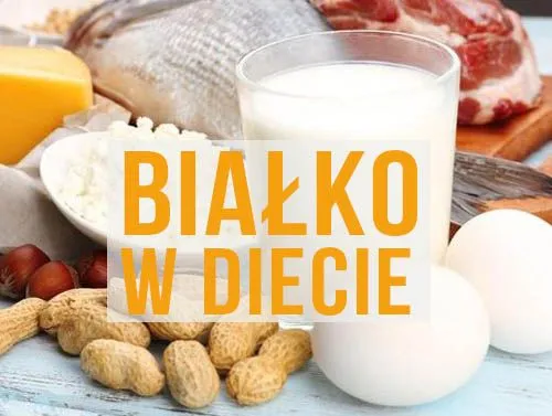 białko-w-diecie.jpg