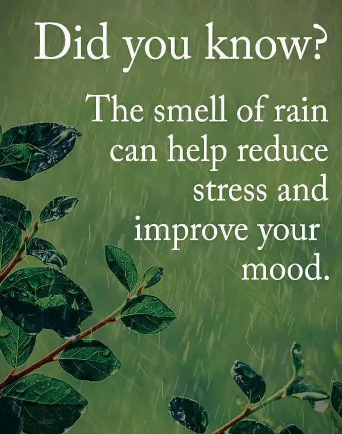 FB_IMG_1509799946835.jpg
