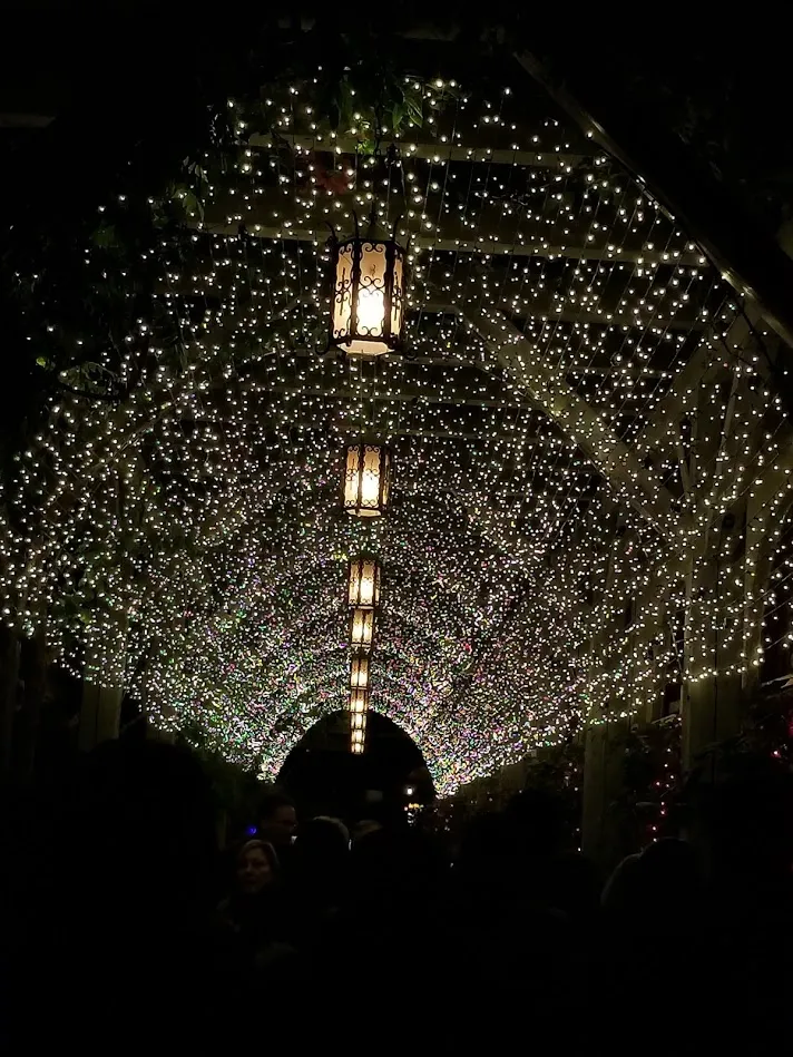 Tunnel of Lights.jpg