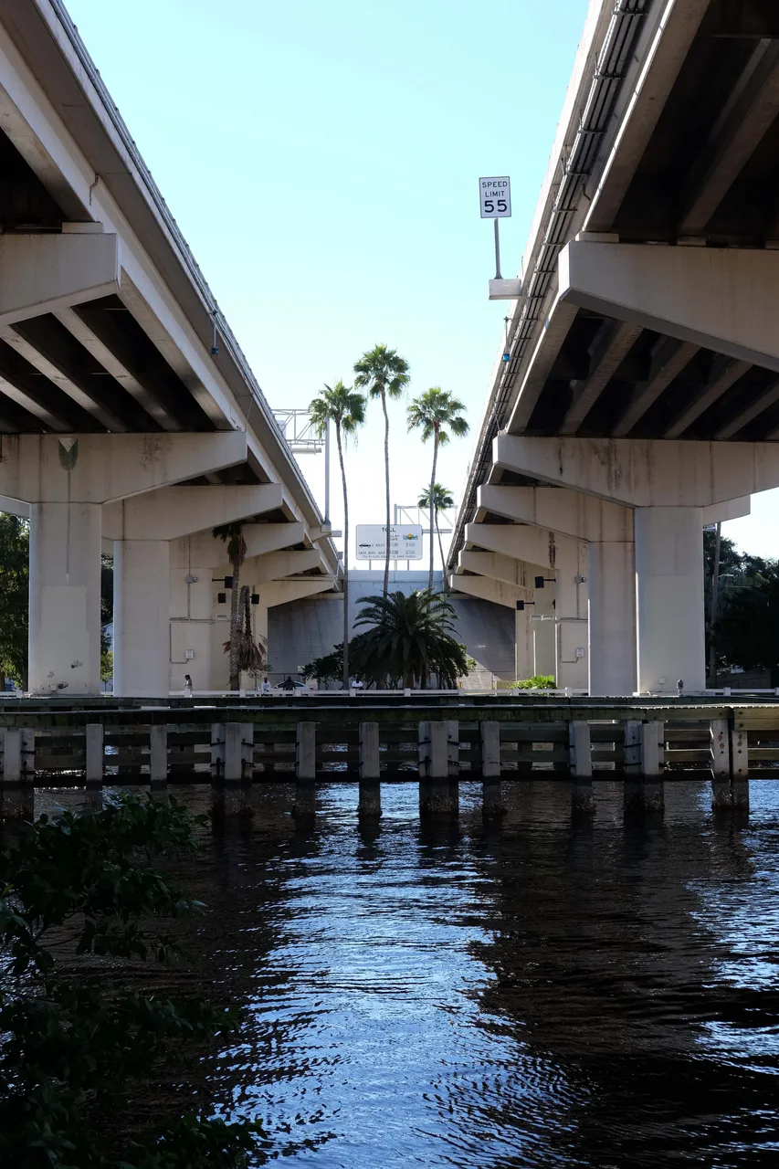 tampa looking up.jpg