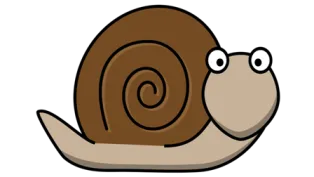 Snail