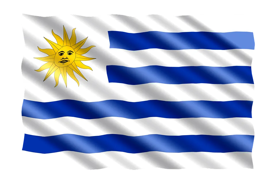 flag-2292690_960_720.png