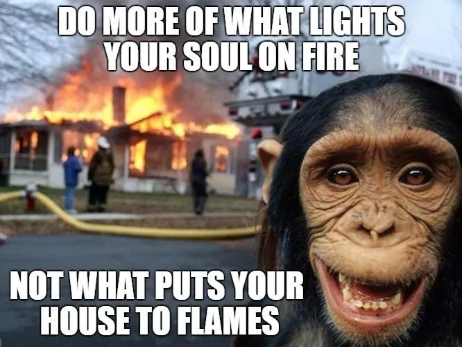 disaster chimp 1.jpg