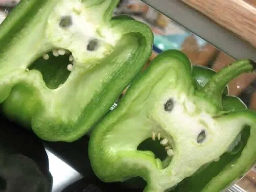 pareidolia-peppers-l.jpg