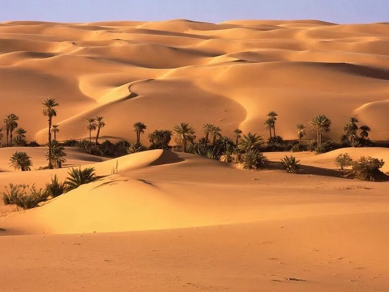 Oasis_en_el_desierto.jpg