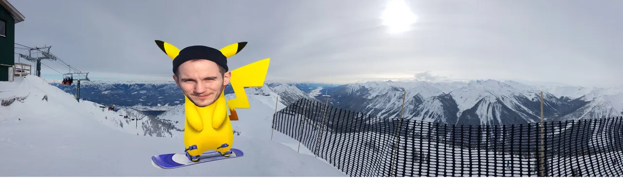 Ty Pika Boarding.png