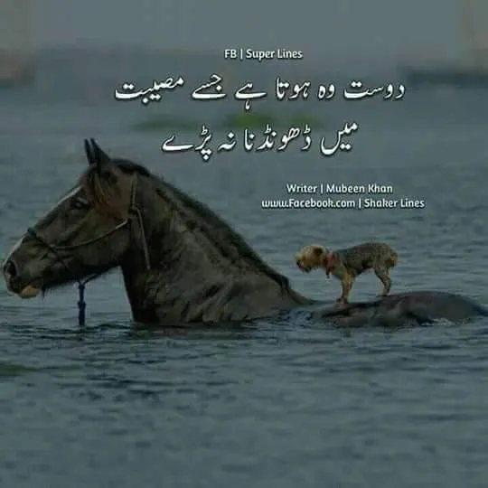 FB_IMG_1525334314549.jpg