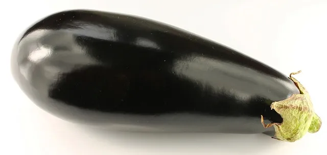 eggplant-1717224_640.jpg