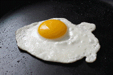 583155_416160_618[1].gif