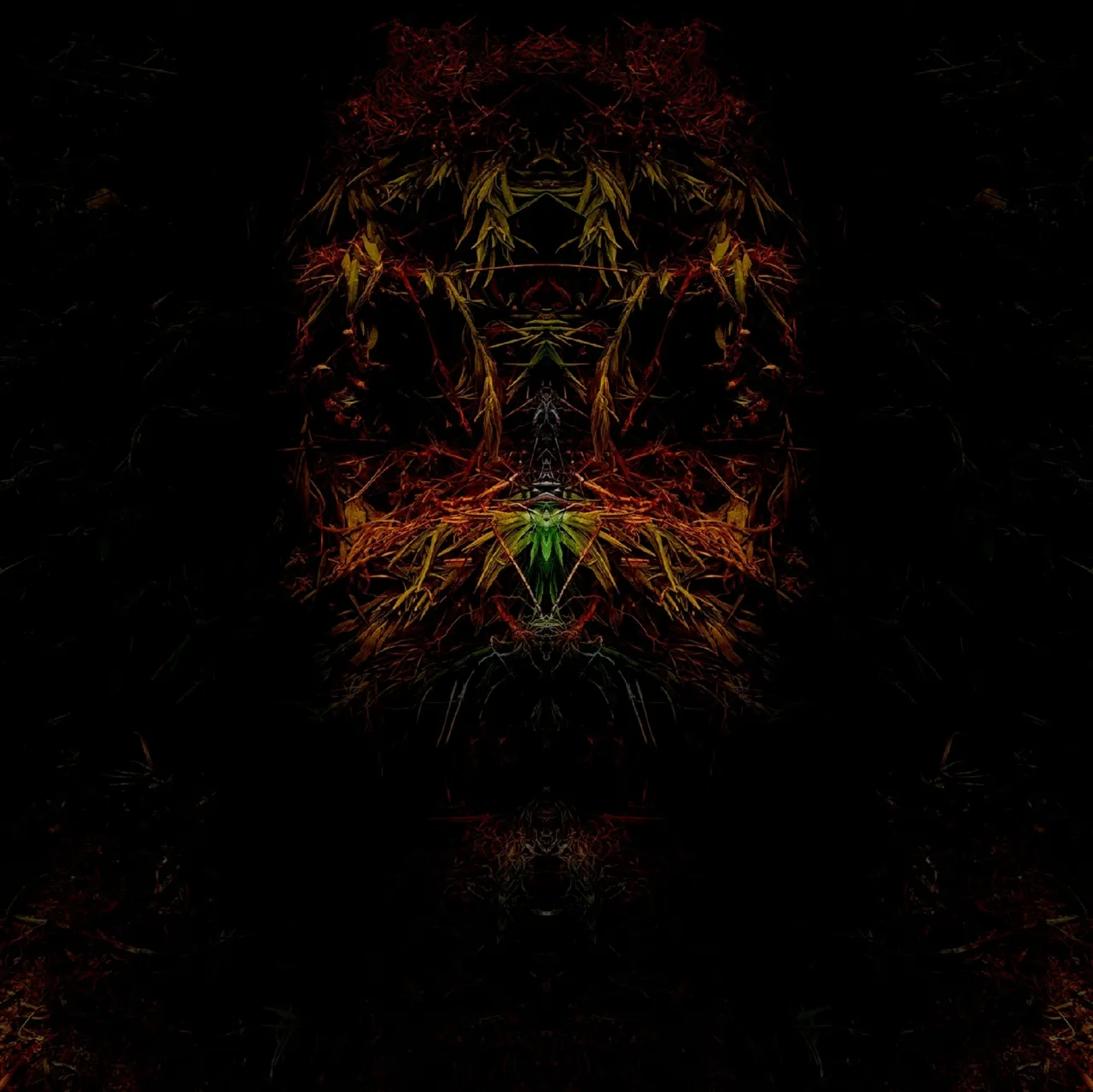 image3A111225_mirror.jpg