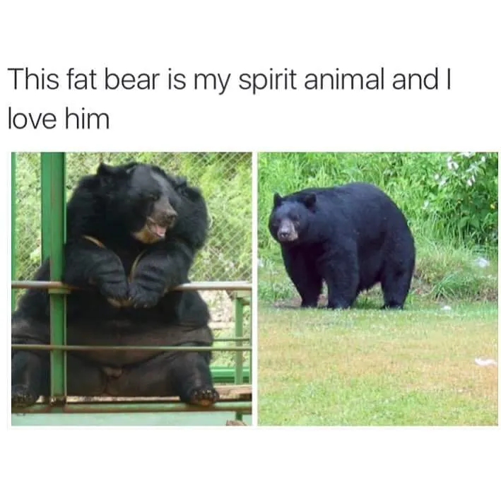 FB_IMG_1484927995408.jpg