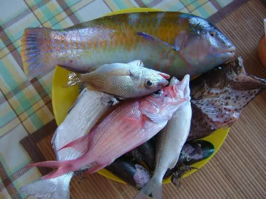 pescado-fresco-listo.jpg