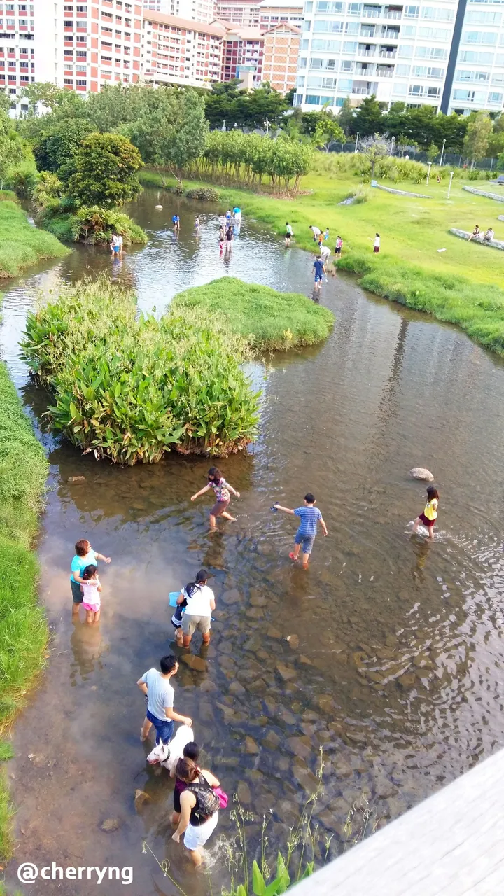 20150601_182238 copy.jpg