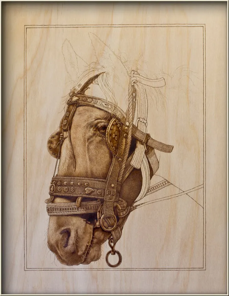 Horse Pyrography_1.jpg