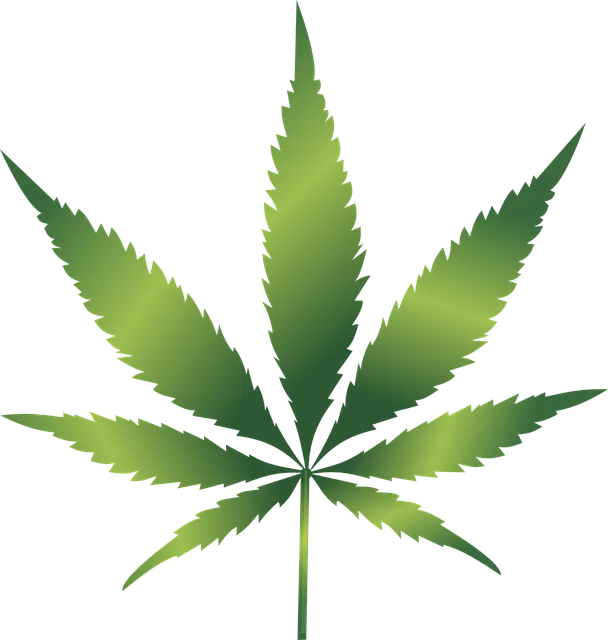 cannabis-1032119_640.png