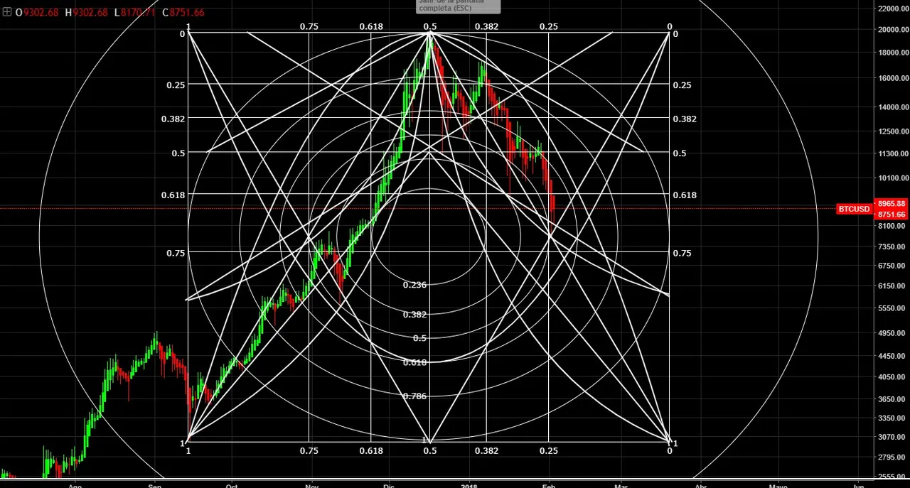 fly GEOT pattern.jpg