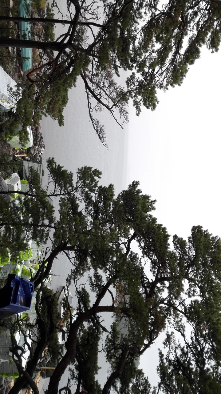 IMG-20170920-WA0004.jpeg