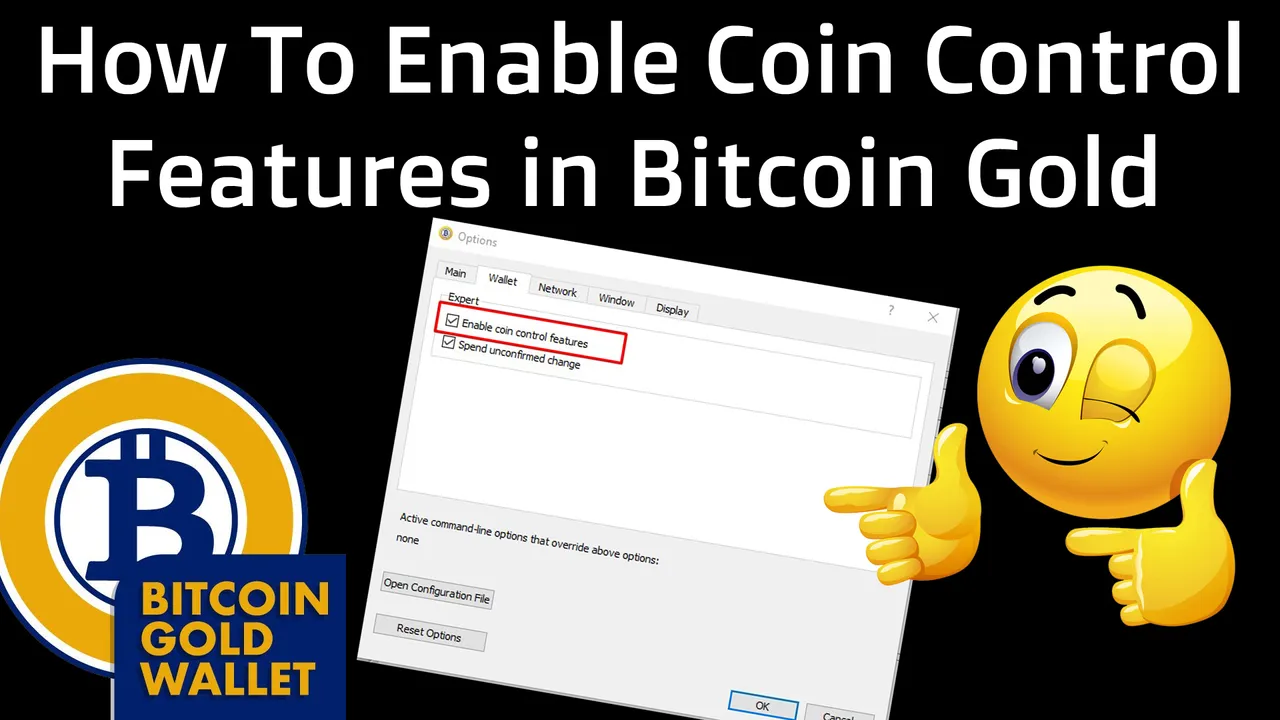 How To Enable Coin Control Features in Bitcoin Gold Core Wallet BY Crypto Wallets Info.jpg