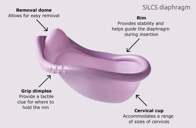 http-2F2Fmashable.com2Fwp-content2Fgallery2Finnovative-ways-were-reinventing-birth-control2Ffamily-planning-silcs.jpg