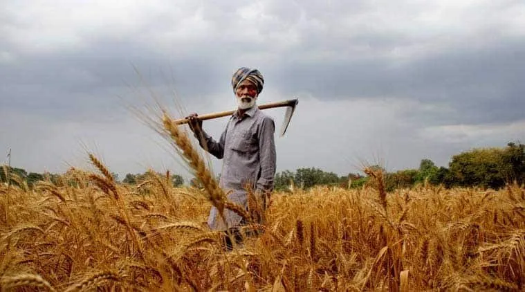 Image result for agriculture