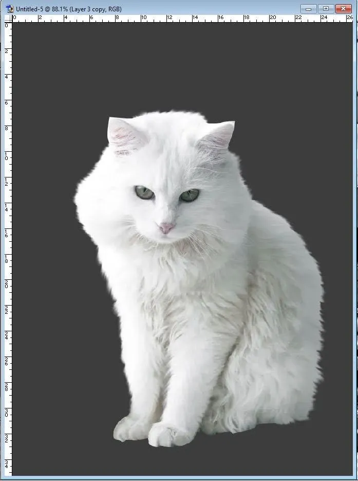 "BYZANTINE KITTY Fan Art"
