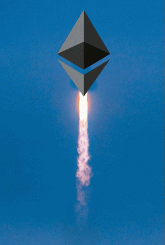 untitled.gif