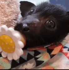 untitled.gif