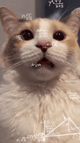 untitled.gif