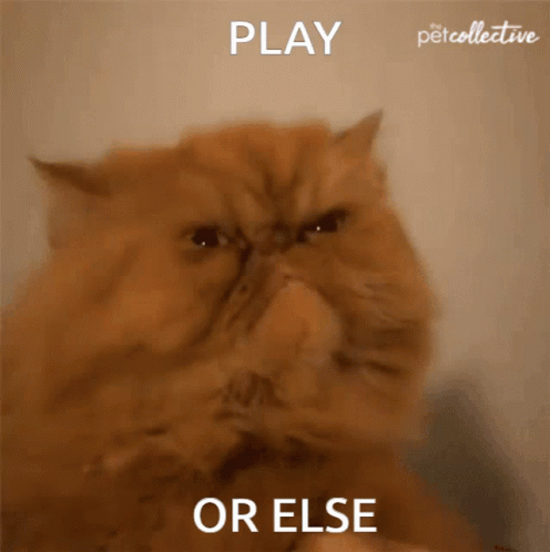 untitled.gif