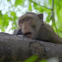 Valentines Day Love GIF