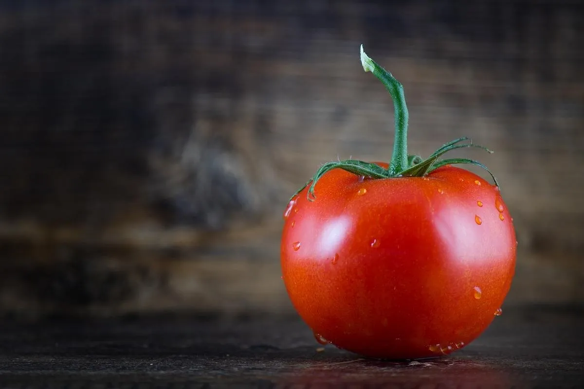 tomato