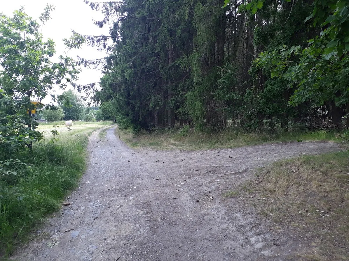 20250626_150833.jpg