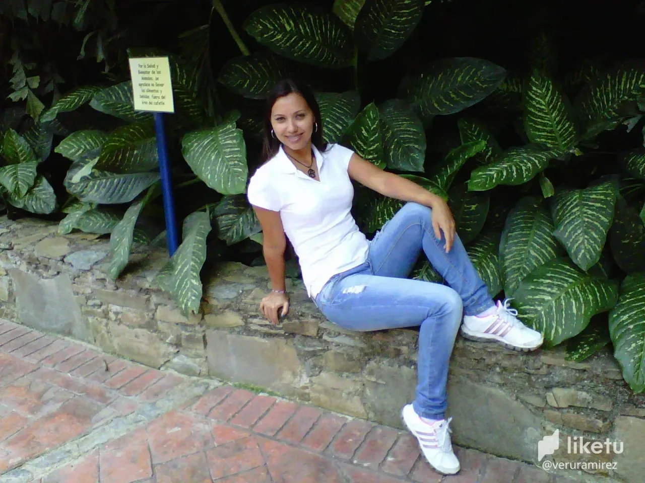 cl976p5e501uc24kcb6llb198_IMG00049-20120219-1143.webp