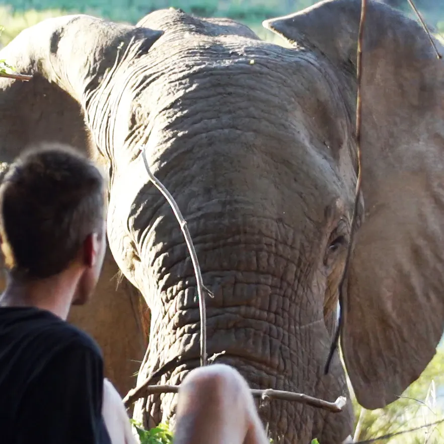 dave-krug_nature_happy-paradise-community_adventures_elephant_square.jpg