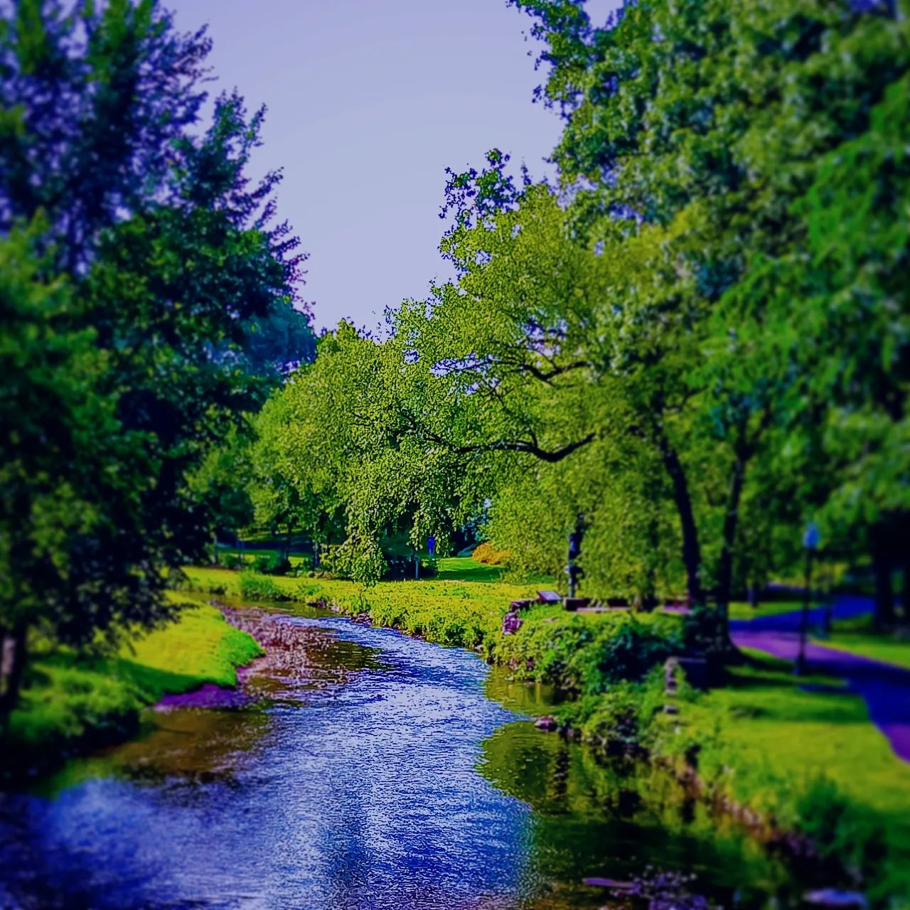 Beautiful Stream in Nature Park Southeastern Pennsylvaina @EverNoticeThat.jpg