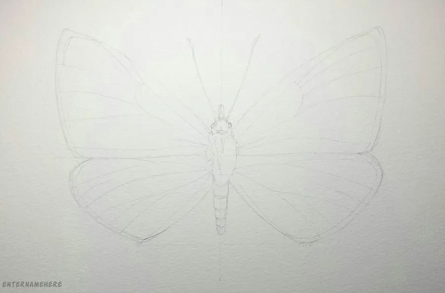 steemit-alphabetartchallenge-enternamehere-day24-xerces-butterfly-pencil.jpg